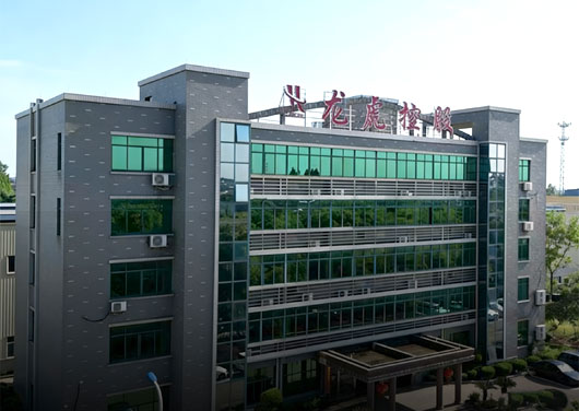 Zhejiang Longhu Forging Co., Ltd.